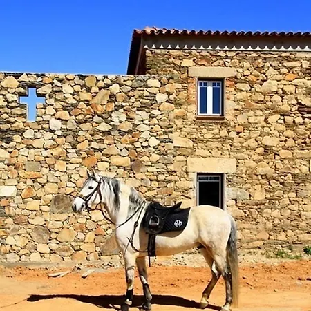 Alloggio per agriturismo Couto Dos Pardinhos Monforte da Beira