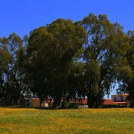 Couto Dos Pardinhos Alloggio per agriturismo Monforte da Beira