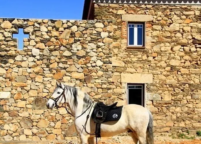 ファームステイ Couto Dos Pardinhos Monforte da Beira