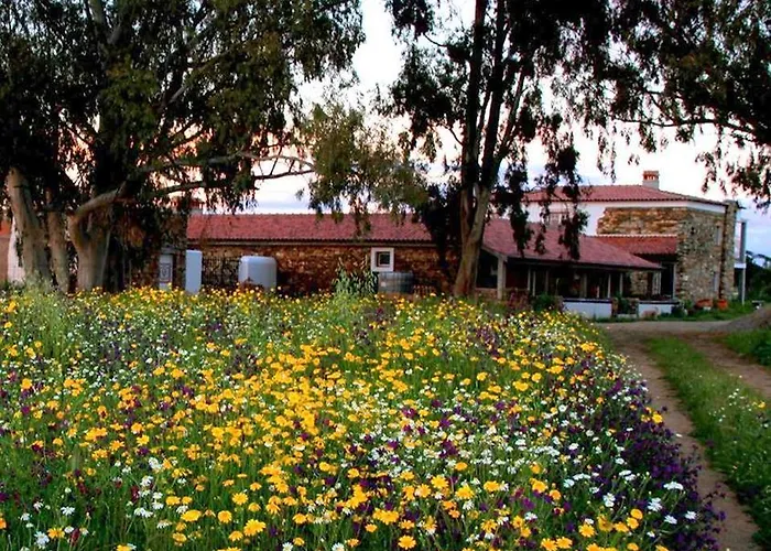 ファームステイ Couto Dos Pardinhos