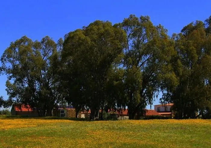 Couto Dos Pardinhos ファームステイ Monforte da Beira